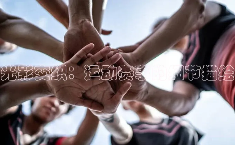 新宝网站登录入口