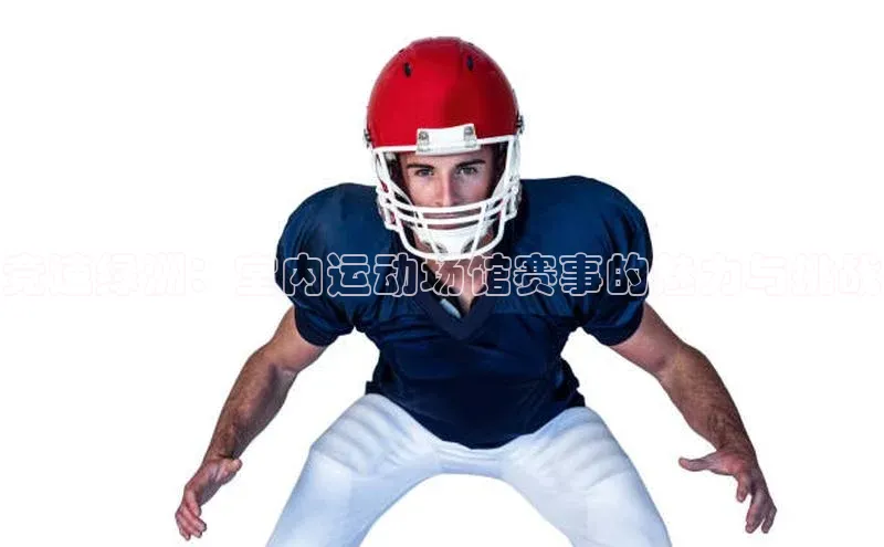 新宝网站登录入口