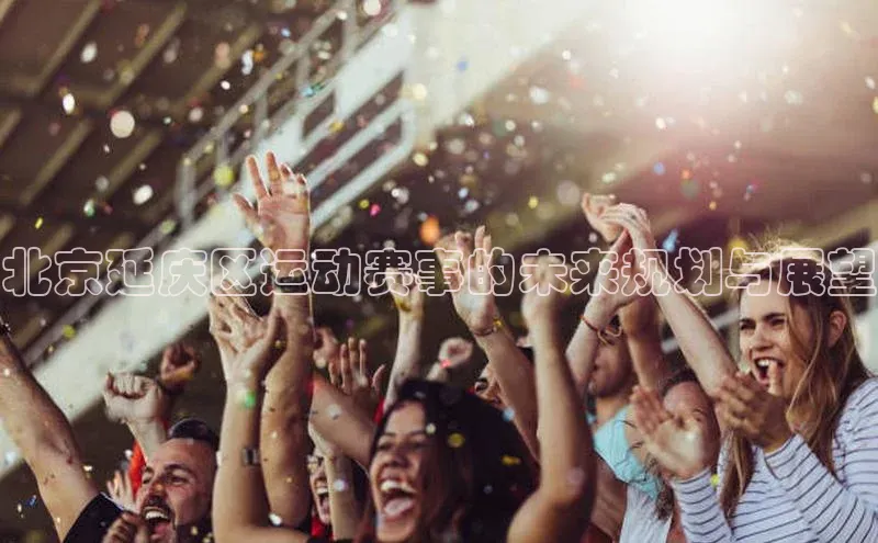 新宝登录app入口手机版