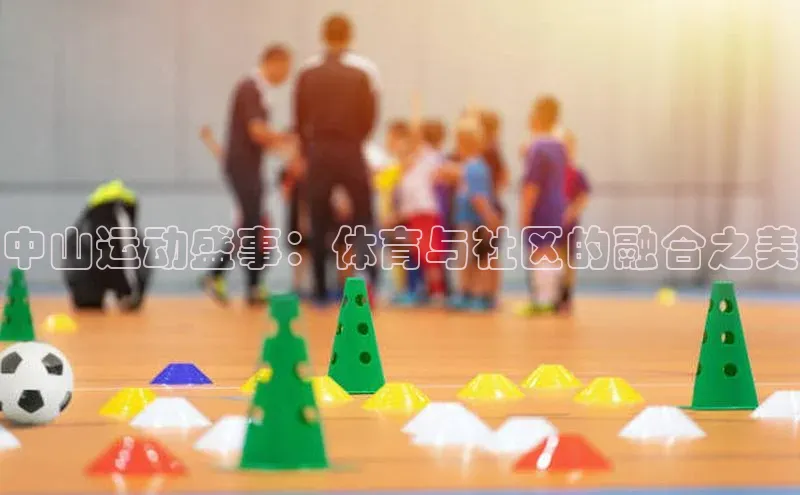 新宝网站登录入口