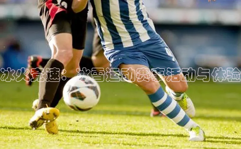 新宝gg平台注册官网