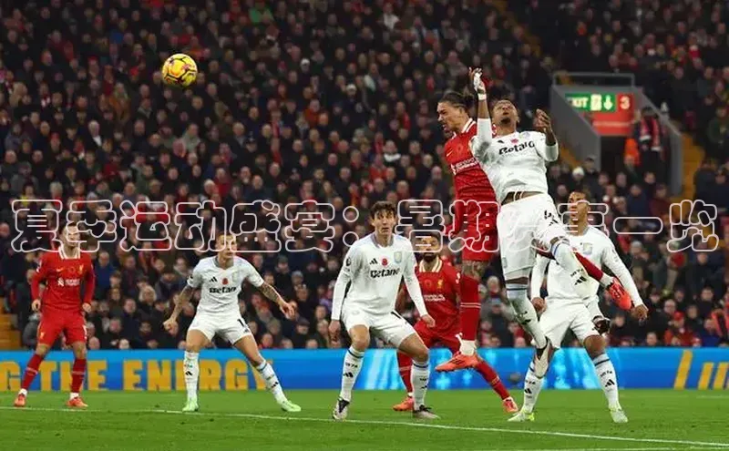 新宝gg官网登录