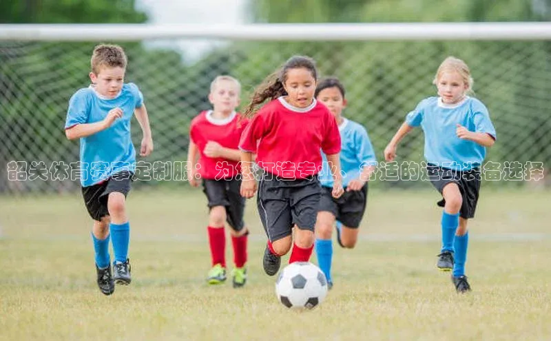 新宝gg官网登录地址