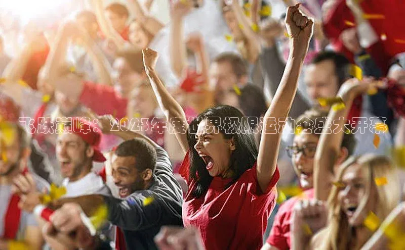 新宝登录app入口手机版