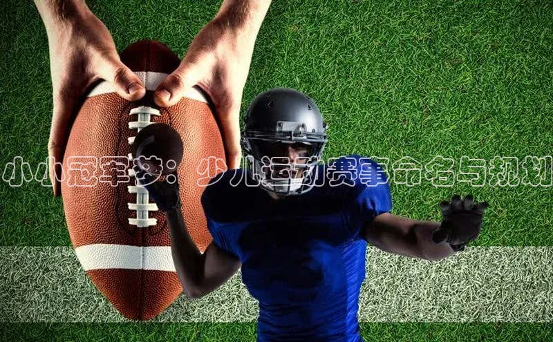 新宝登录app入口手机版